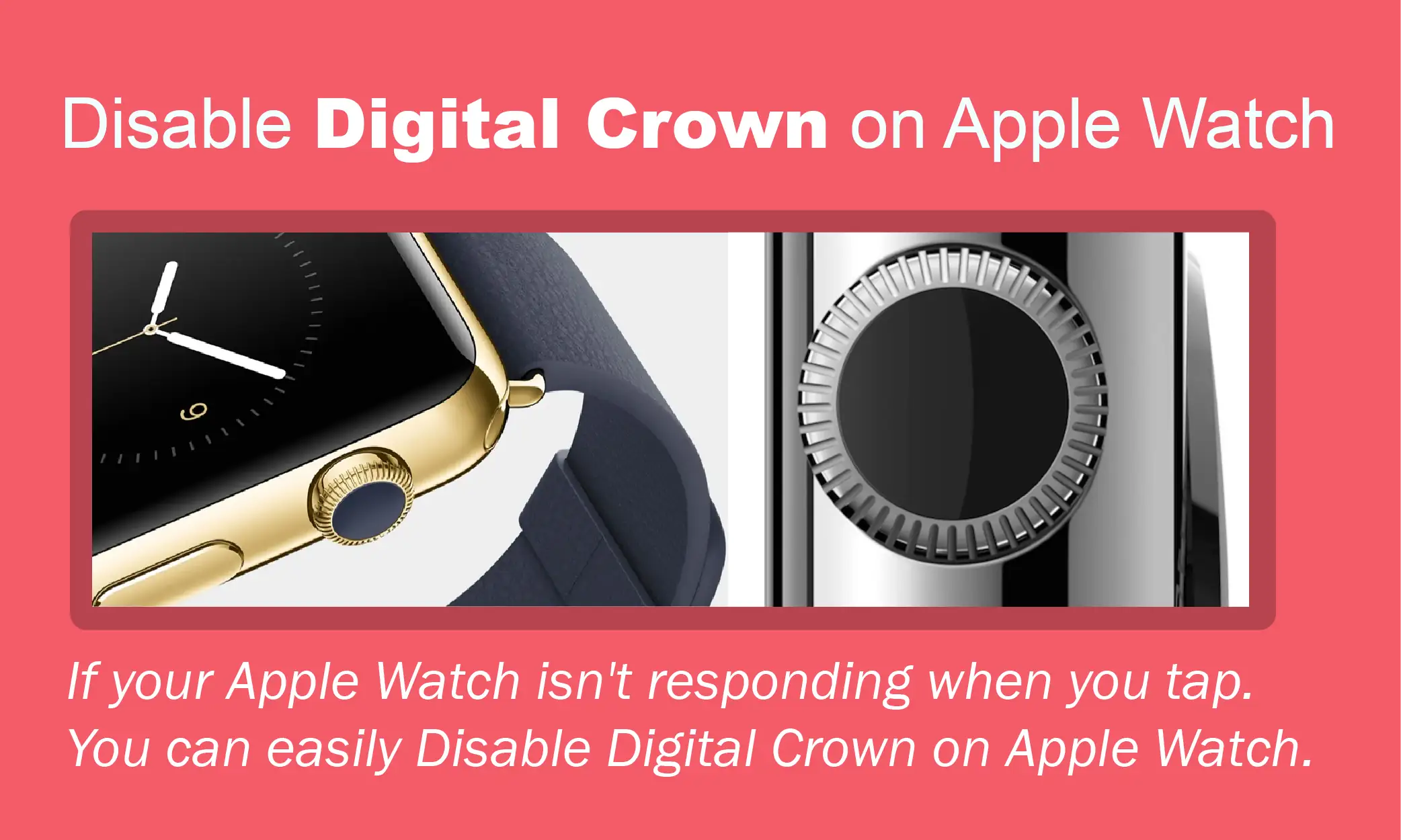How-To-Disable-Digital-Crown-On-Apple-Watch-In-2022