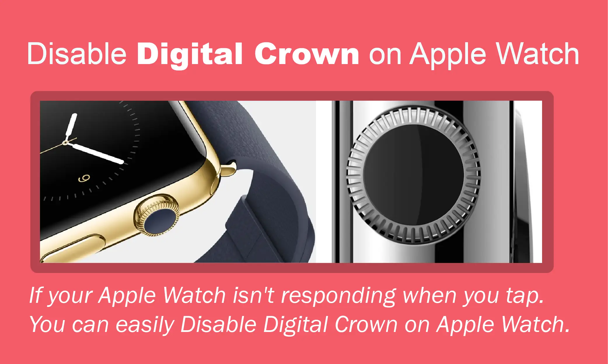 How-to-Disable-Digital-Crown-on-Apple-Watch-in-2022