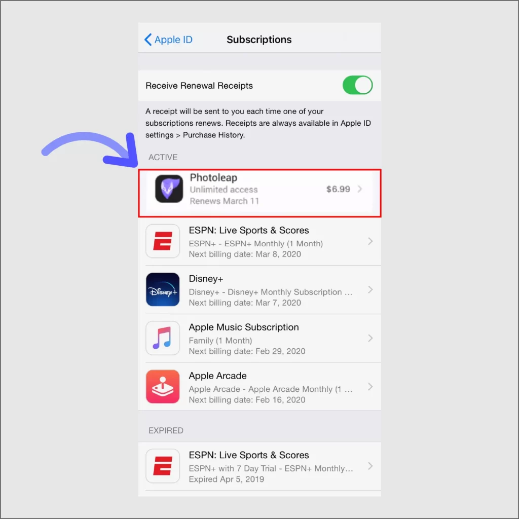 Seek-for-PhotoLeap-and-Click-on-Cancel-Subscription-to-Cancel-PhotoLeap-Subscription-on-IOS