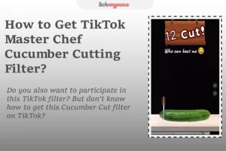How to Get Cucumber Cut Filter on TikTok?